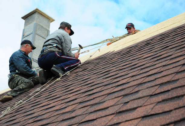 Best Roof Restoration Services  in Ishpeng, MI