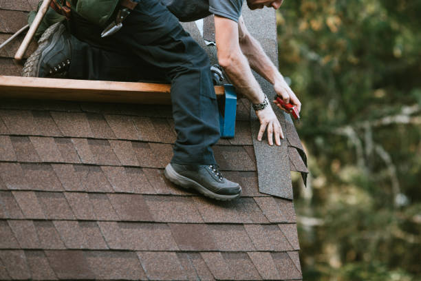 Best Shingle Roofing Installation  in Ishpeng, MI